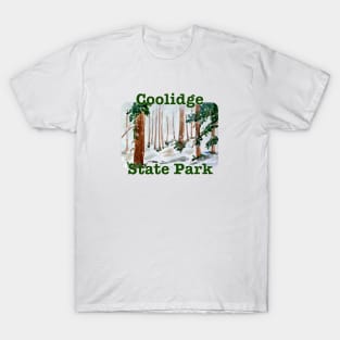 Coolidge State Park, Vermont T-Shirt